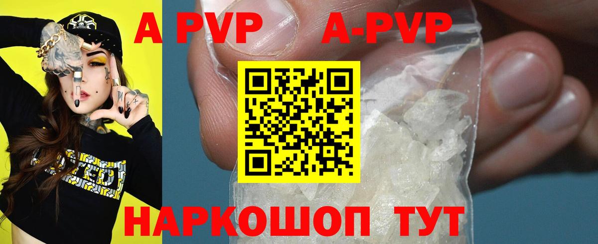 Alfa_PVP СК КРИС Псков