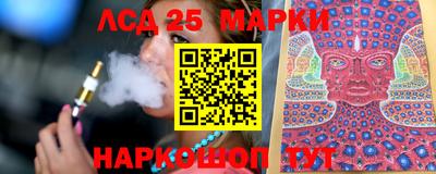 гидропоника Пушкино