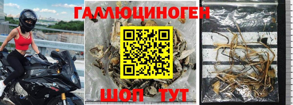 Псилоцибиновые грибы GOLDEN TEACHER  купить наркотик  Вход с VPN  Псков  Псилоцибиновые грибы ЛСД 